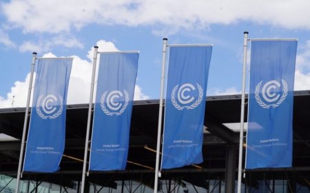 COP29: “Paris Sazişi”nin əsas istiqamətləri üzrə kollektiv şəkildə irəliləyişə nail olmaq vacibdir