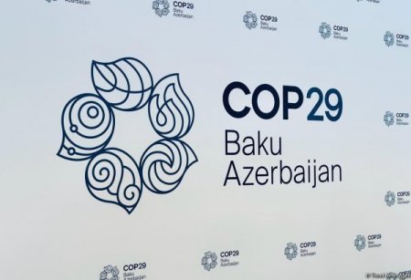 Bakıda "COP29-a aparan yol: Dayanıqlı və davamlı gələcək" adlı 29-cu ali səviyyəli toplantı keçirilir